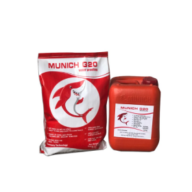 munich-g20