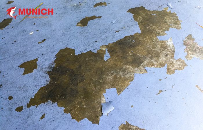 Tuổi thọ trung bình của sơn Epoxy