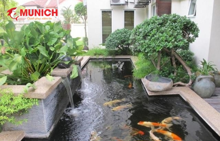 Chống thấm cho hồ cá giữ công trình bền đẹp không thấm ngược