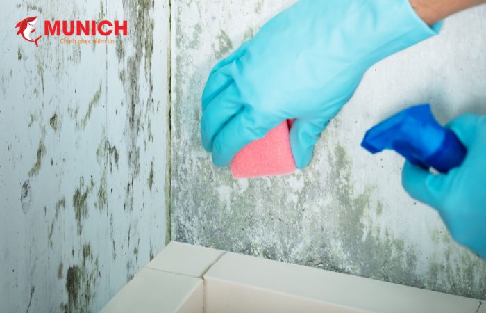 Dùng giấm hoặc Javen lau phần tường bị ẩm mốc 