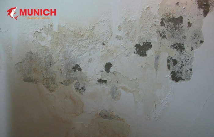 Vết ố trên tường nhà