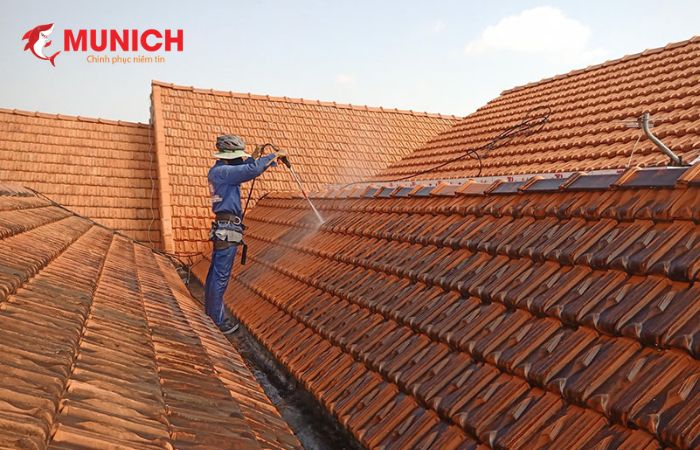 Rêu bắt đầu xuất hiện từng mảng trên ngói