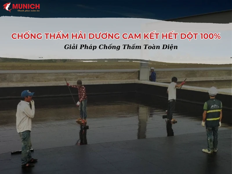 chong-tham-hai-duong