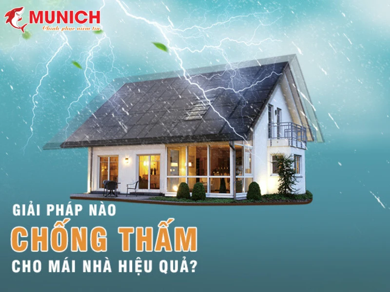 chong-tham-quang-ninh