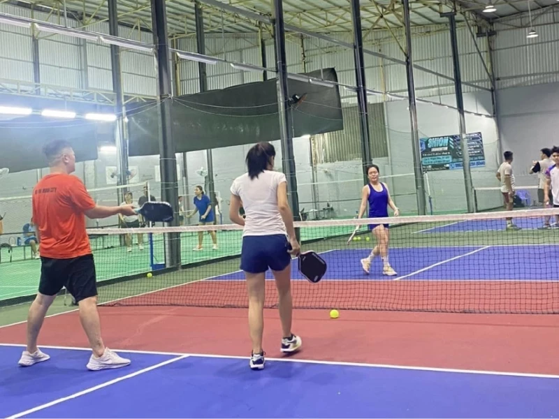 san-pickleball-che-lan-vien