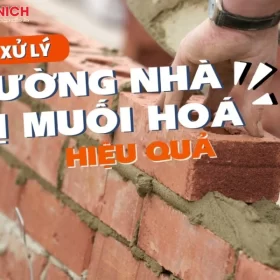 tuong-bi-muoi-hoa