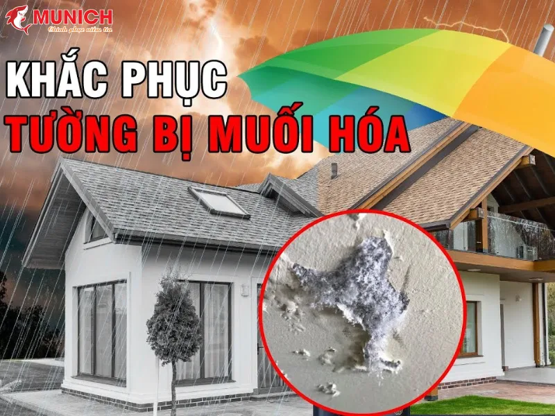 tuong-bi-muoi-hoa