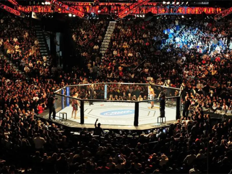 san-dau-mma