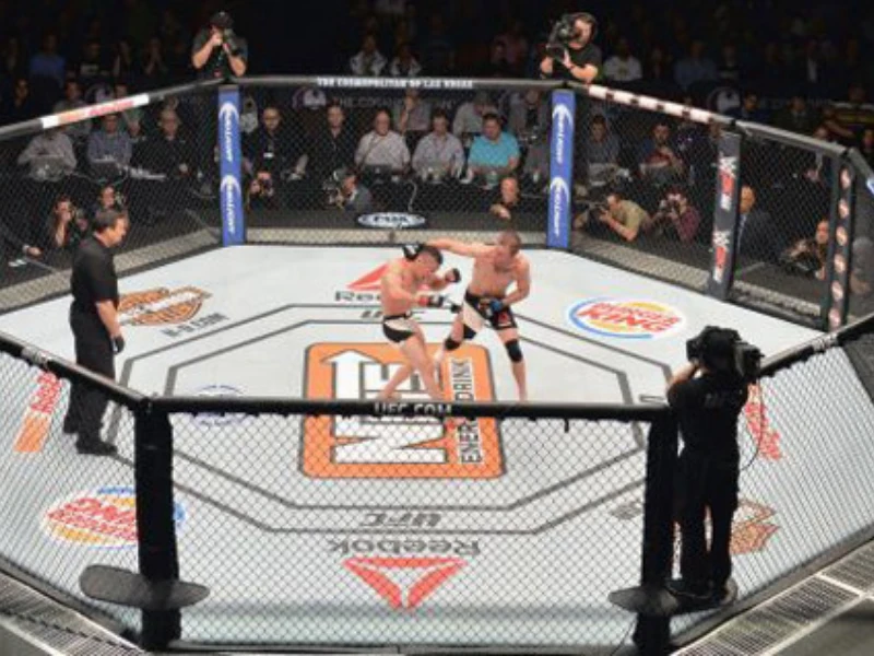 san-dau-mma