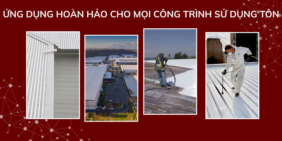 son-chong-nong