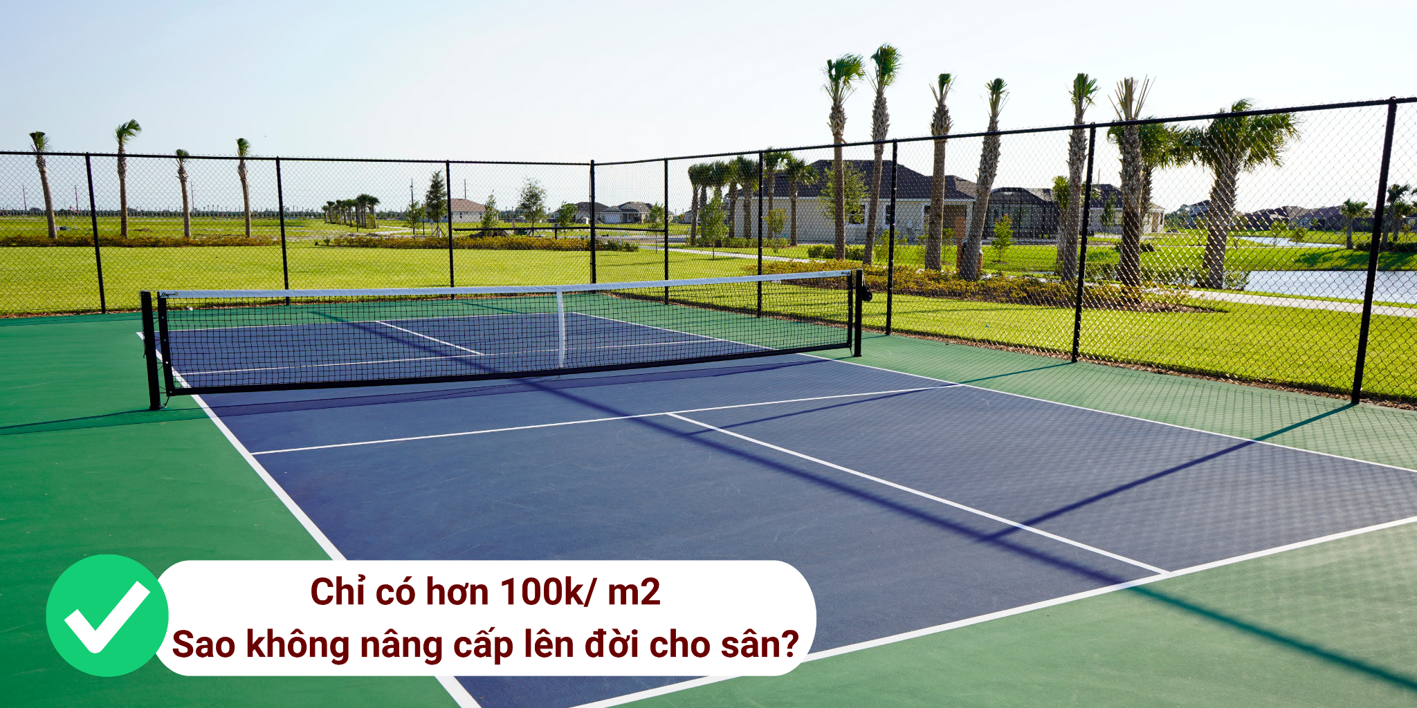 son-san-the-thao